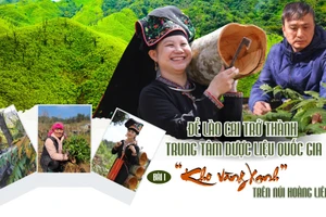 Bài 1: “Kho vàng xanh” trên núi Hoàng Liên