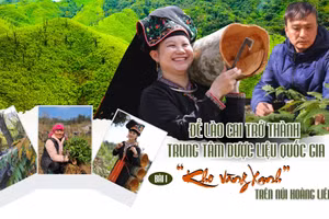 Bài 1: “Kho vàng xanh” trên núi Hoàng Liên