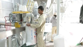 “Đánh thức” vùng nguyên liệu bằng đòn bẩy công nghiệp chế biến