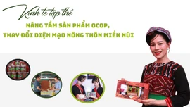 Kinh tế tập thể: Nâng tầm sản phẩm OCOP, thay đổi diện mạo nông thôn miền núi