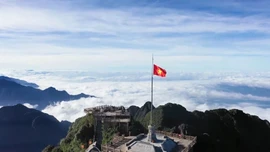 Khi "Xanh" và "Hạnh phúc" hòa chung một nhịp