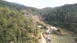 Giữ xanh rừng đầu nguồn - Cộng đồng bảo vệ môi trường