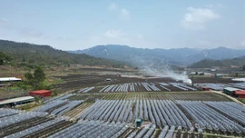 Cuộc cách mạng trên đất khó Púng Luông