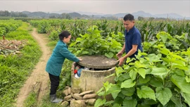 Cần một quy trình đồng bộ để bảo vệ "sức khỏe" đất canh tác