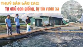 Thủy sản Lào Cai: Tự chủ con giống, tự tin vươn xa