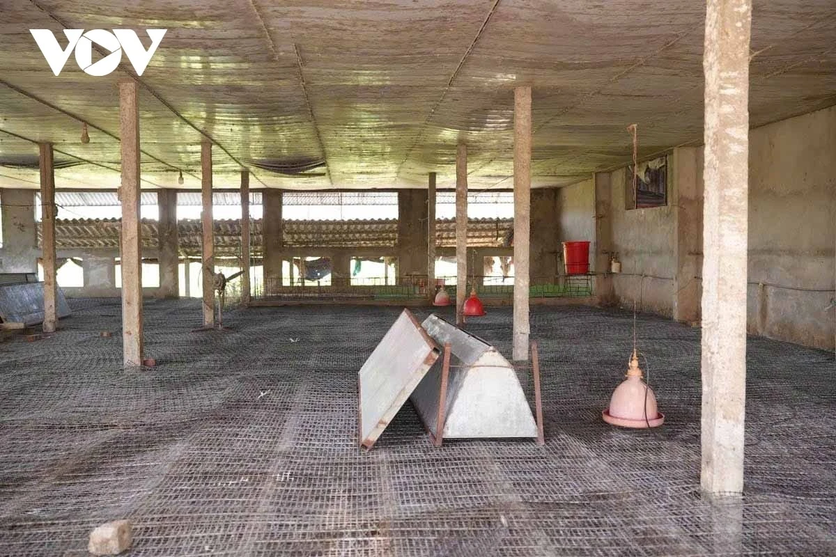 Mô hình chuồng vịt là hệ thống thu gom phân về bể lắng, chỉ cần xịt rửa hàng ngày sẽ không còn mùi.