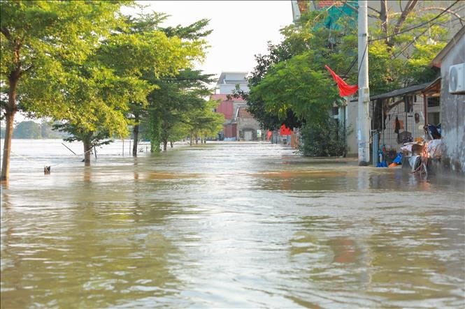 Nước sông Cầu dâng cao đã cô lập hơn 2.100 hộ dân với khoảng 8.200 nhân khẩu tại các tổ dân phố Thổ Hà và Yên Viên (phường Vân Hà, Bắc Ninh). bao.jpg