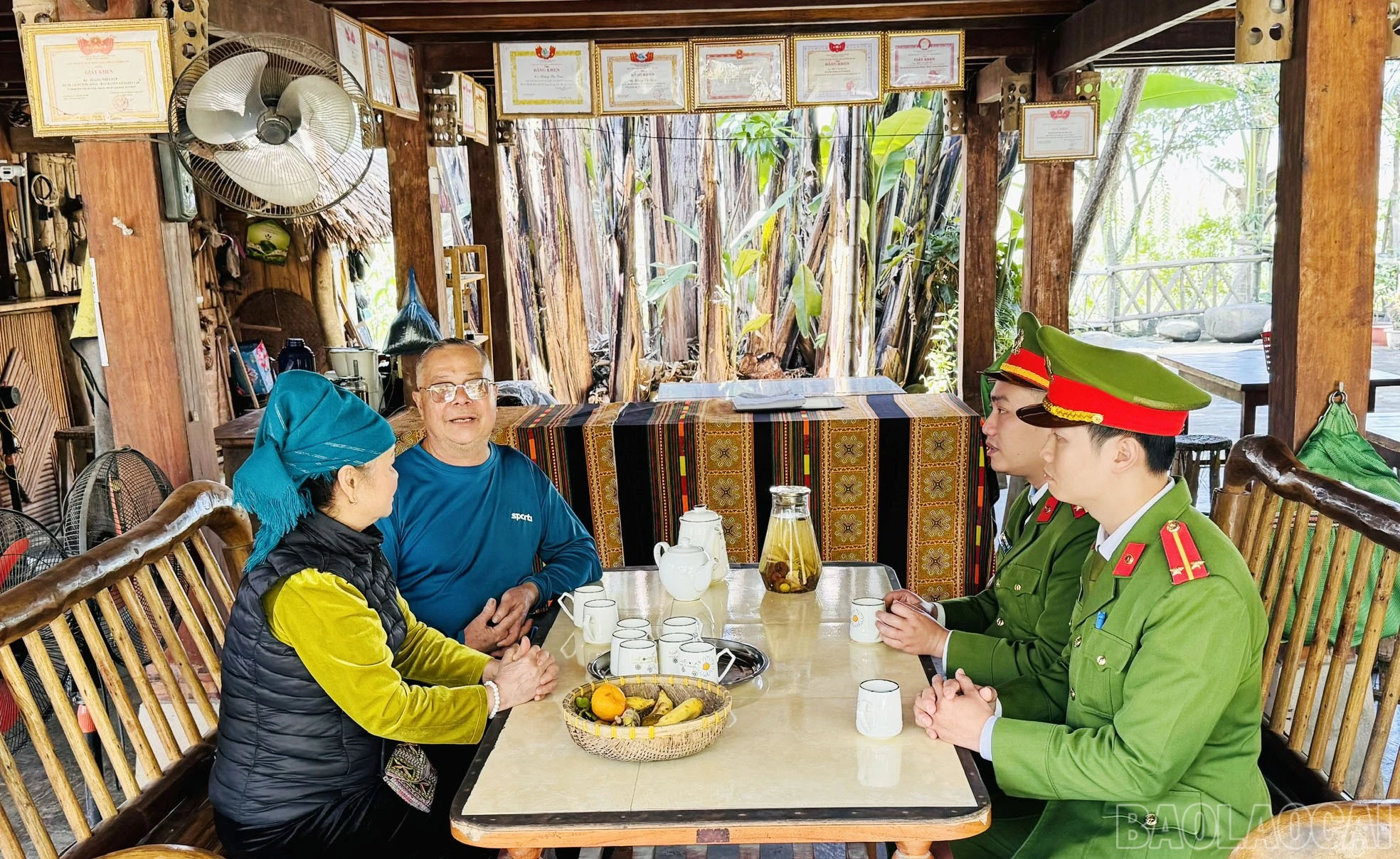 baolaocai-br_anh2.jpg