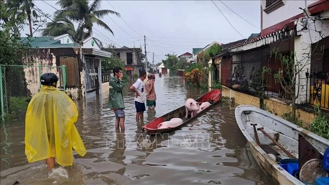 Khu vực chịu ảnh hưởng bởi bão Fung-wong tại tỉnh Catanduanes, Philippines ngày 9/11/2025.