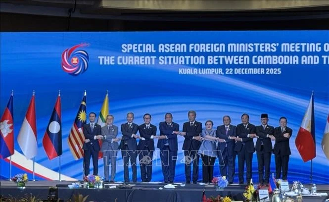 Các đại biểu tại hội nghị.