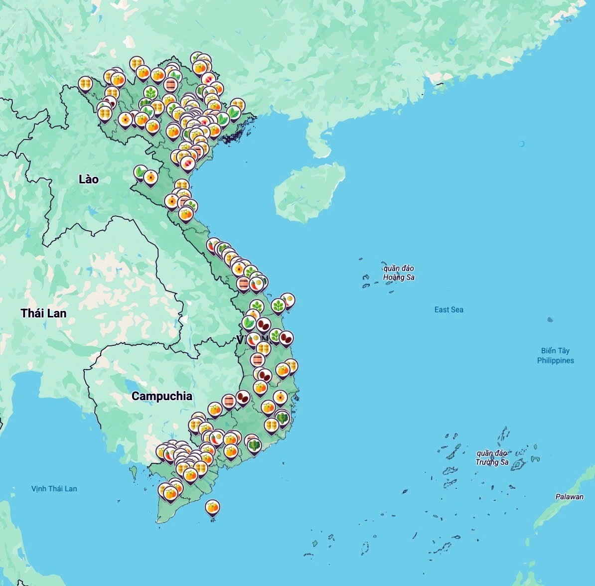 Bản đồ nông sản giúp khách tham quan dễ dàng tra cứu các sản phẩm đặc trưng tại 34 tỉnh, thành phố. ban-do-2.jpg