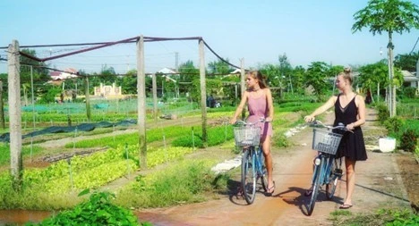 Du khách trải nghiệm tại làng rau Trà Quế