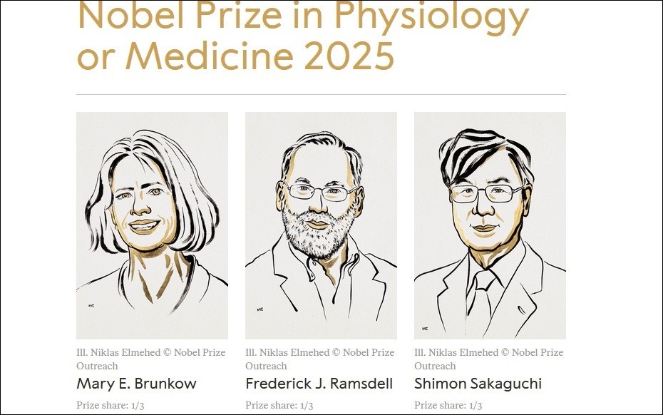 Các nhà khoa học đoạt giải Nobel Y sinh 2025. khoa-hoc.jpg