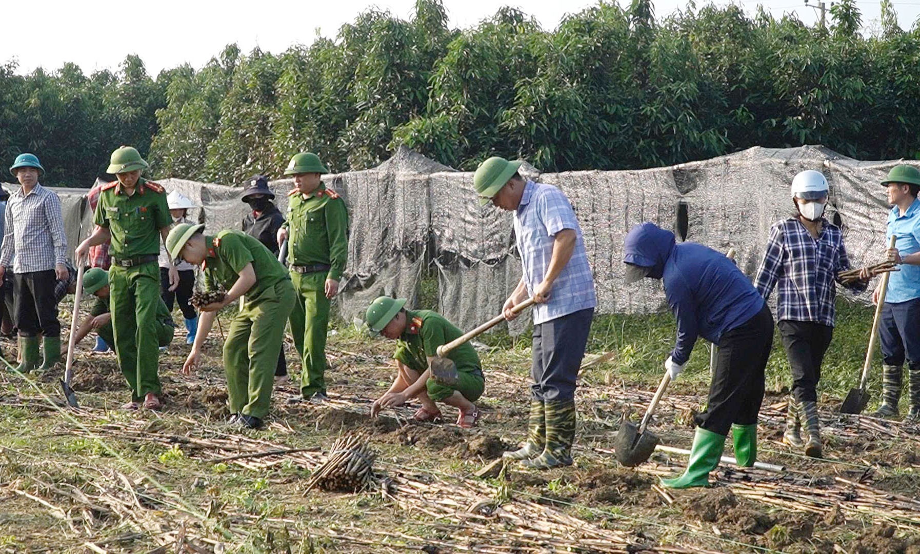 Hưởng ứng phong trào "Trồng dâu nuôi tằm - Vững bước làm giàu". tham-gia-trong-dau.jpg