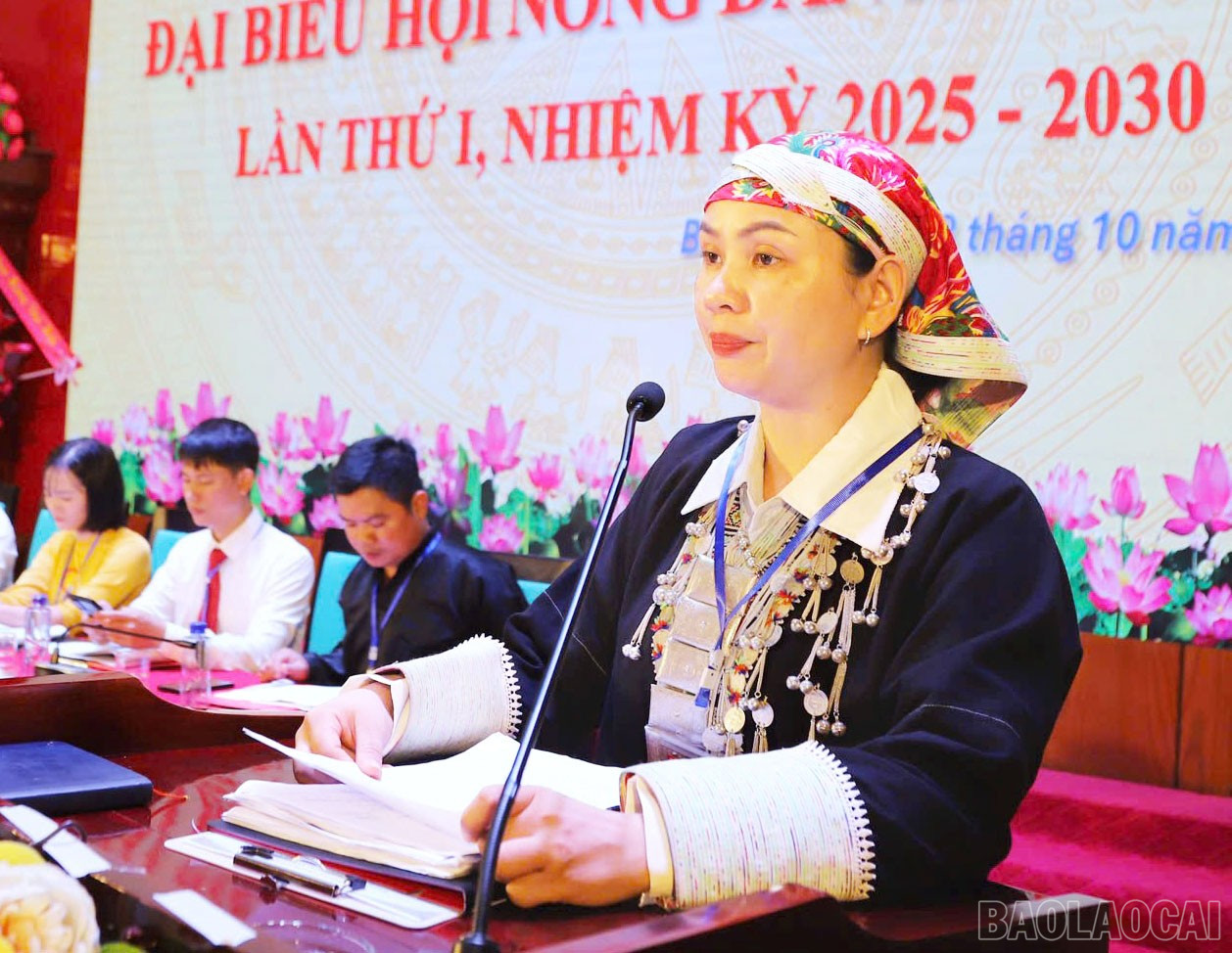 Đại biểu tham luận tại đại hội. baolaocai-br_tham-luan-tai-dai-hoi-8200.jpg
