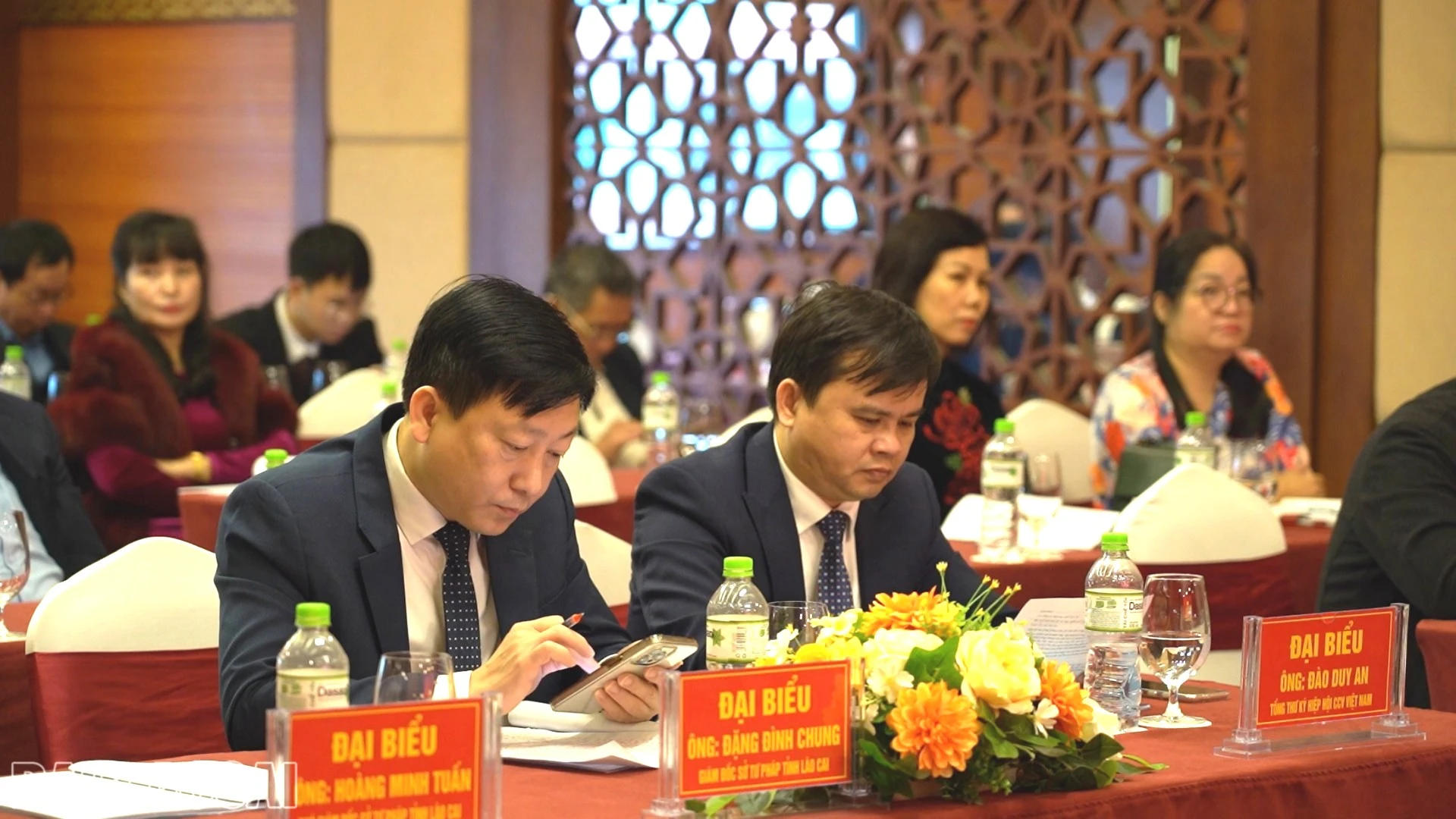 bl-dai-bieu-du-ho-nghi.jpg