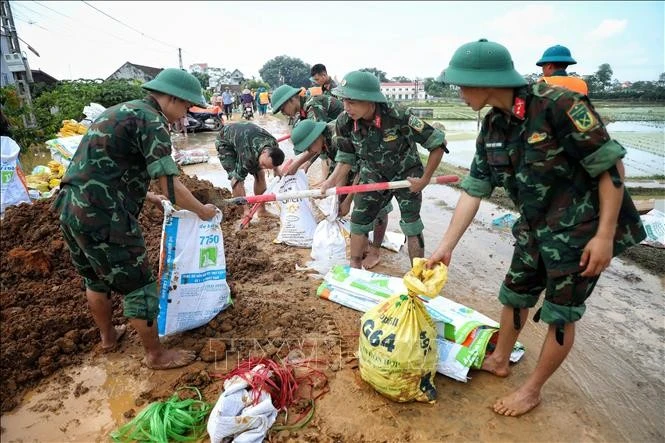Cán bộ chiến sỹ Sư đoàn 3 (Quân khu 1) khẩn trương gia cố đê tại thôn Phú Cốc, xã Hợp Thịnh (Bắc Ninh).