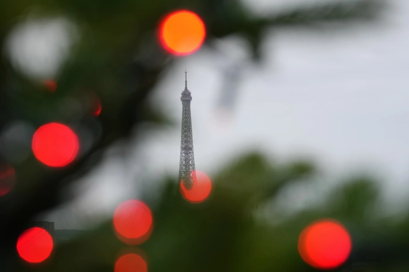 Tháp Eiffel ở thủ đô Paris (Pháp) nhìn qua tán cây thông Giáng sinh.