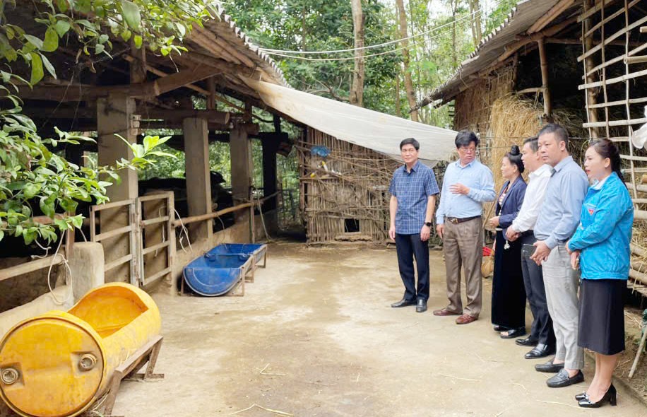 Đoàn công tác đến thăm mô hình nuôi trâu, bò của anh Lò Văn Năm. kiem-tra-mo-hinh-nuoi-trau-bo-1.jpg