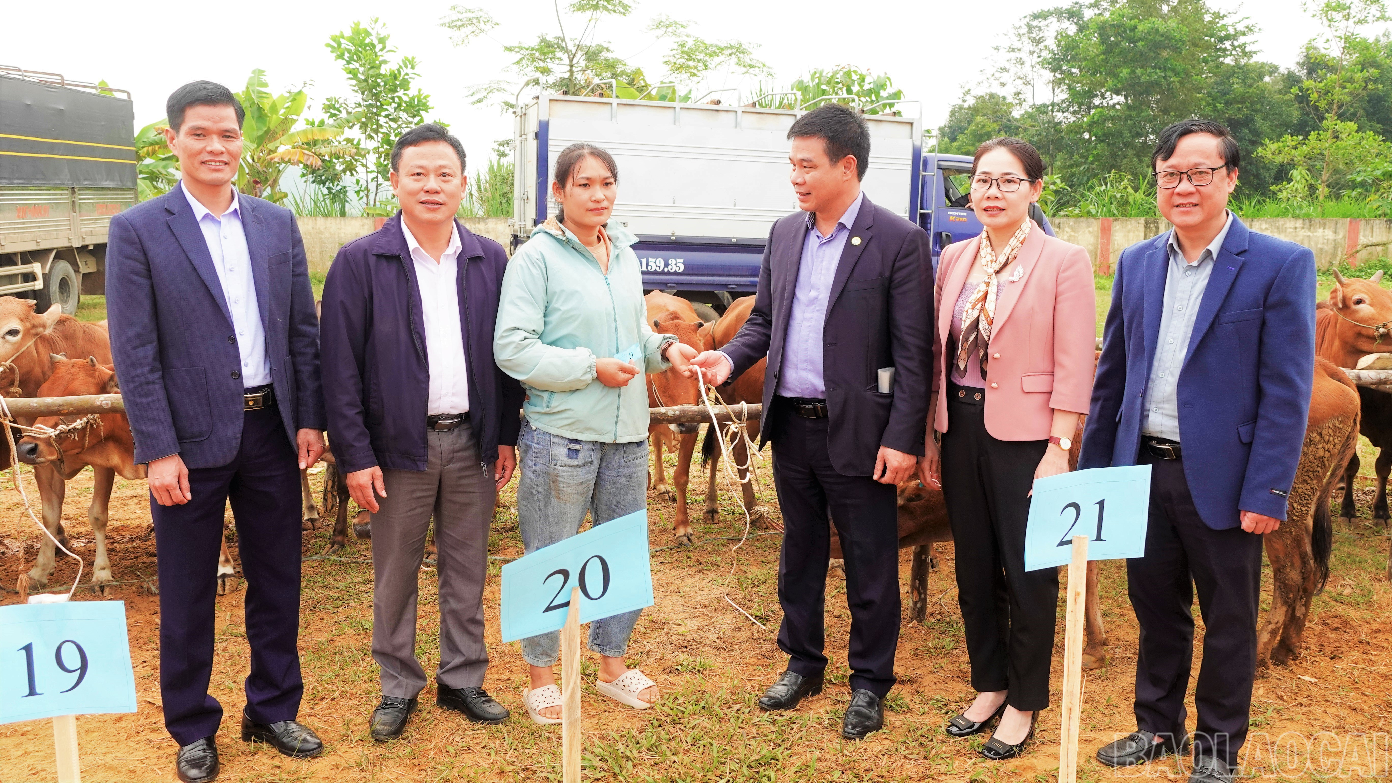 Bàn giao bò sinh sản cho hộ dân tham gia dự án "Mô hình nuôi bò trên địa bàn xã Khánh Hòa".