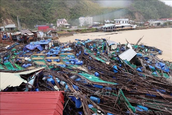 Mưa lũ gây thiệt hại nặng nề các lồng bè nuôi trồng thủy sản tại tỉnh Đắk Lắk.