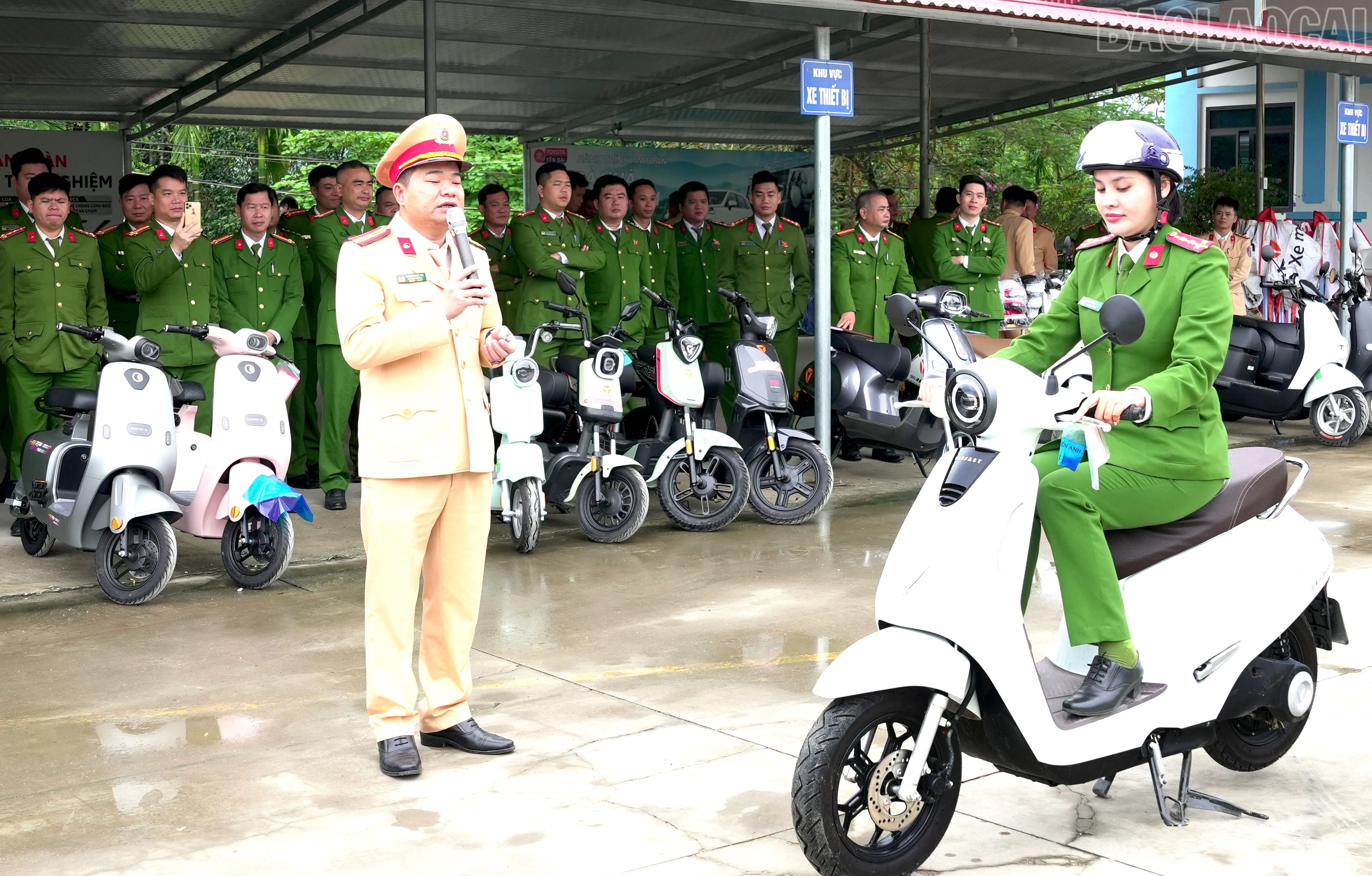 baolaocai-tr_anh-2.jpg
