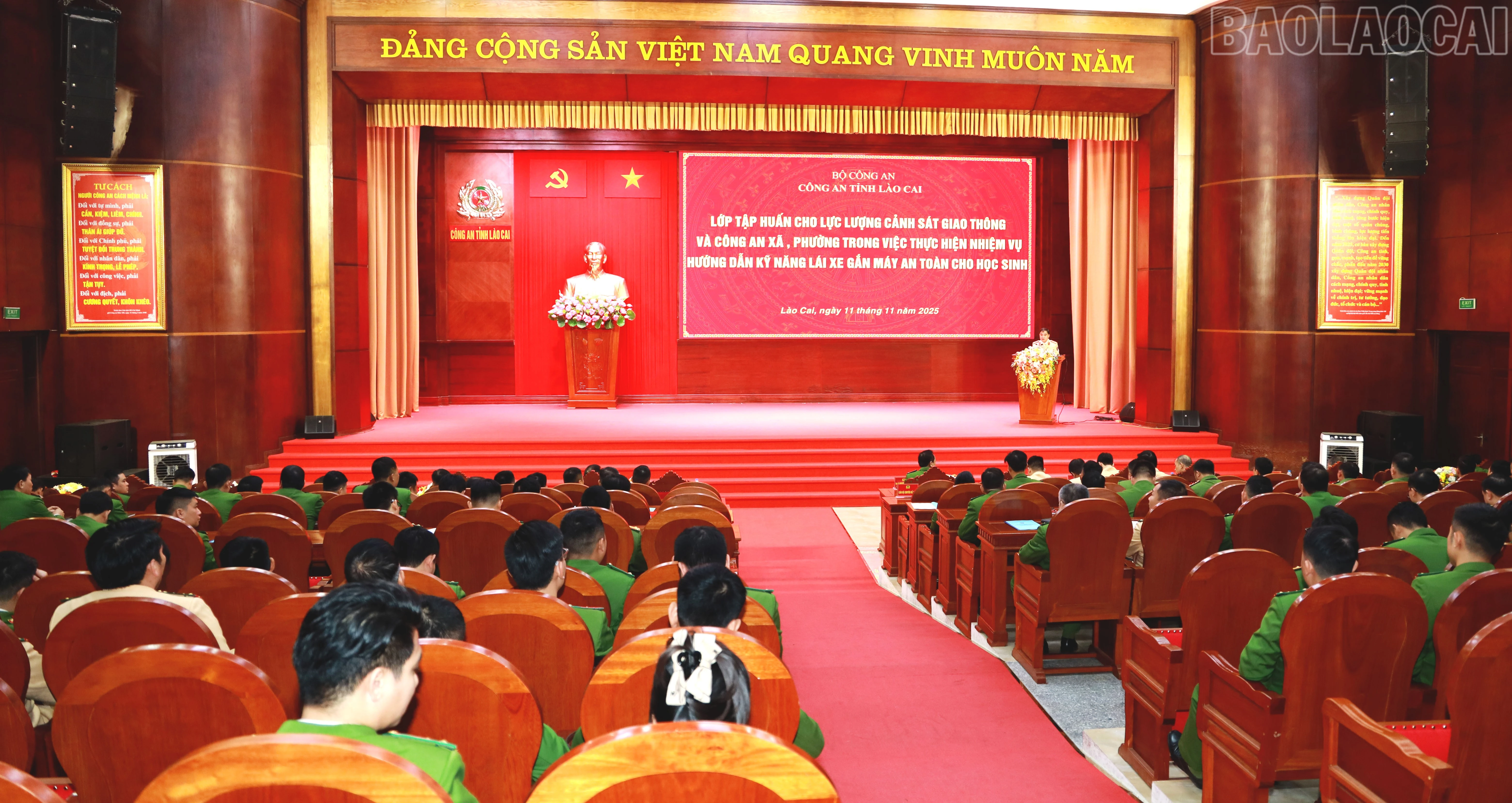 baolaocai-tr_anh-1.jpg