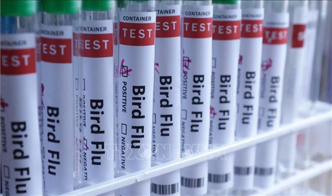 Hình ảnh minh họa ống xét nghiệm đựng mẫu bệnh phẩm virus cúm.