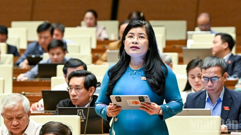 Đại biểu Đàng Thị Mỹ Hương (Khánh Hòa) phát biểu. Đại biểu Đàng Thị Mỹ Hương (Khánh Hòa) phát biểu.