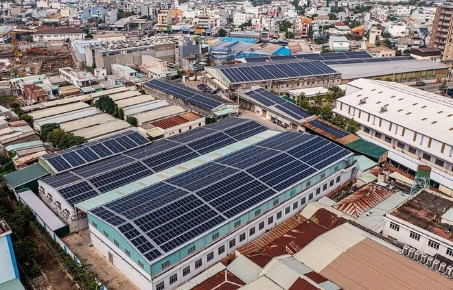 (Ảnh: Hồng Đạt/TTXVN)