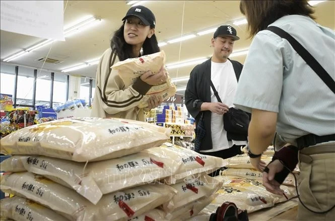 Theo thông báo mới đây của Bộ Nông nghiệp, Lâm nghiệp và Thủy sản Nhật Bản, giá gạo trung bình tại các siêu thị ở nước này đã tăng lên mức 4.444 yen (khoảng 28 USD) cho mỗi 5 kg. Đây là mức cao nhất kể từ sau thời điểm chính phủ ngừng bán gạo từ kho dự trữ khẩn cấp nhằm hạ nhiệt thị trường.