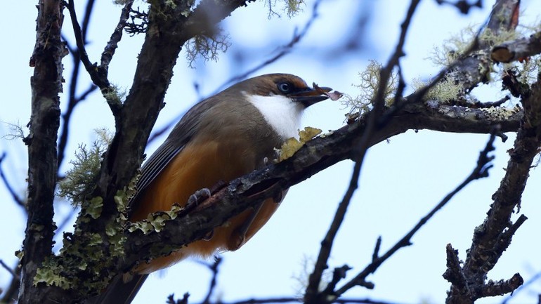 Một khoảnh khắc bình yên du khách gặp trên hành trình chinh phục Tiger’s Nest.