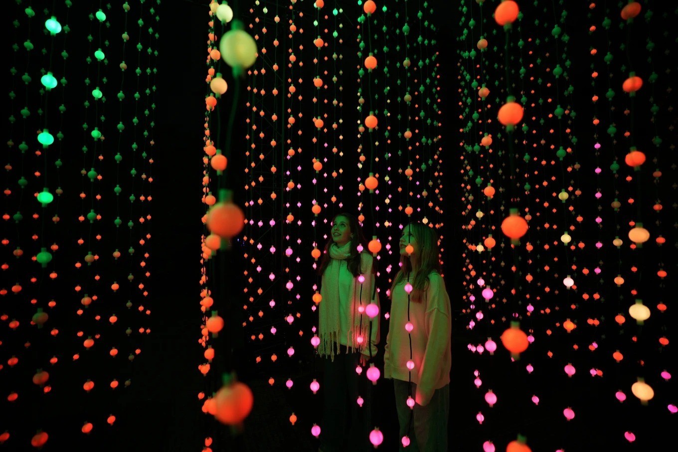 Du khách chiêm ngưỡng các tác phẩm trang trí được trưng bày dọc theo con đường ánh sáng Giáng sinh tại Vườn Kew ở London (Anh)