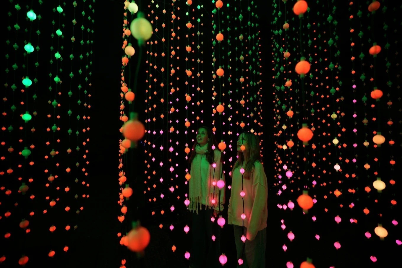 Du khách chiêm ngưỡng các tác phẩm trang trí được trưng bày dọc theo con đường ánh sáng Giáng sinh tại Vườn Kew ở London (Anh)