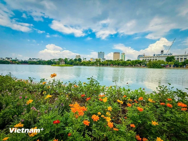 (Ảnh minh họa: Trần Hương Sơn/Vietnam+)