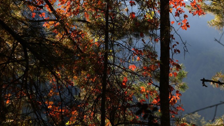 Thiên nhiên đang vào mùa đẹp nhất trong năm.