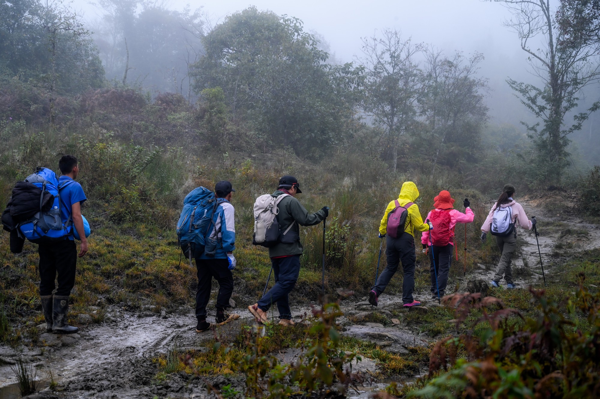 Đường lên đỉnh núi.