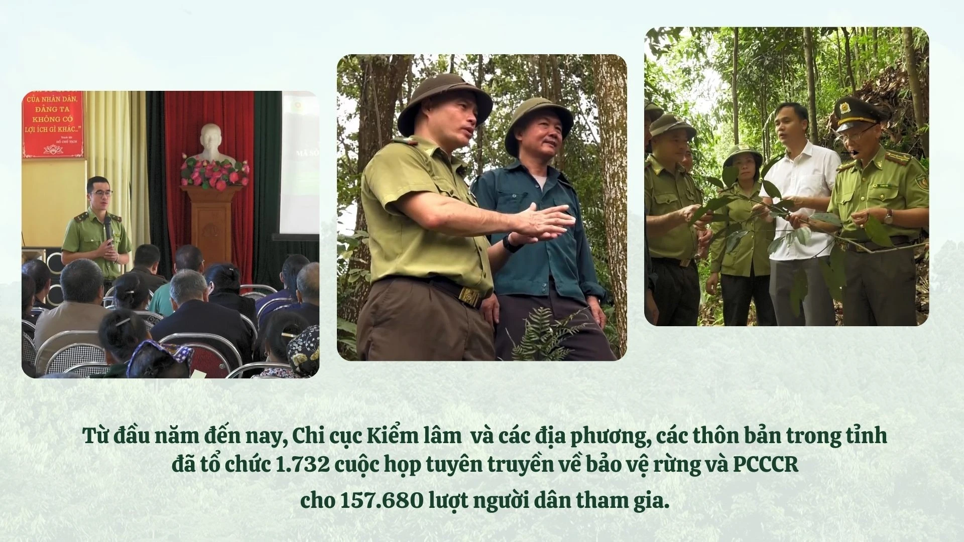 sua-lai-kiem-lam.jpg