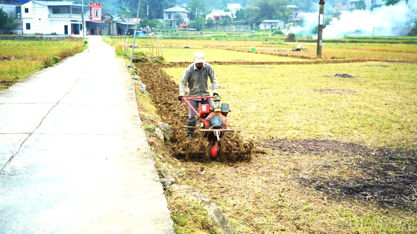 Nông dân Mường Khương cày ruộng chuẩn bị trồng vụ Đông 2025. baolaocai-br_nhan-dan-dang-lam-dat-chuan-bi-xuong-giong.jpg