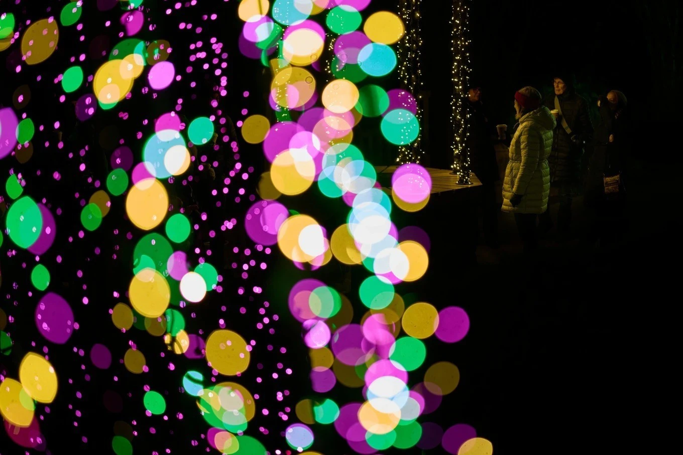 Khu điền trang Cheekwood ở Nashville, bang Tennessee (Mỹ) lung linh trong ánh đèn Giáng sinh.