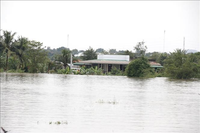Hàng trăm hộ dân tại xã Hàm Thuận (Lâm Đồng) bị ngập sâu trong nước lũ.