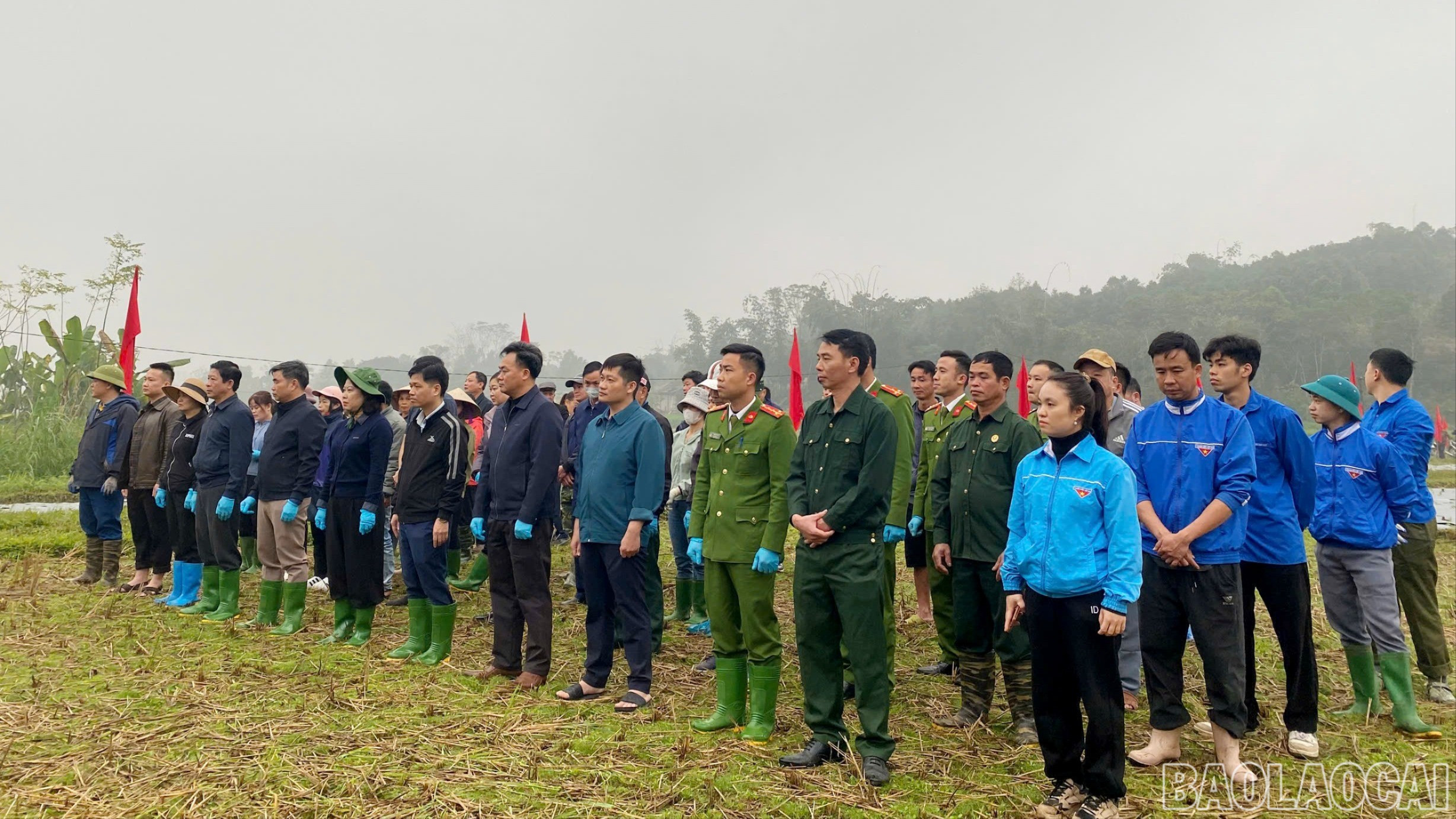 Lãnh đạo xã cùng cán bộ, viên chức, đoàn viên, hội viên tham gia hỗ trợ người dân trồng 4 ha ớt J xanh xuất khẩu.