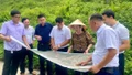 Khảo sát xây dựng trường nội trú tại các xã biên giới