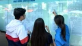 Các cách tra cứu điểm thi tốt nghiệp THPT năm 2025
