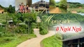 Mong ước ở Ngòi Ngù