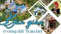 Bản giàu ở vùng đất “trâu lăn”