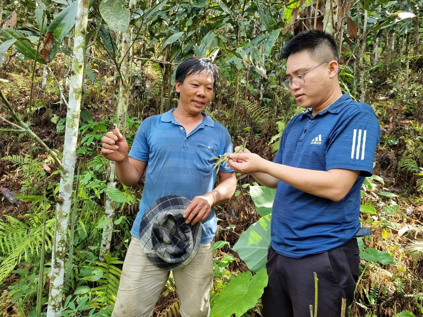 Cơ quan chuyên môn tăng cường phối hợp với địa phương kiểm tra thực địa và tuyên truyền, khuyến cáo người dân cách phòng trừ bọ, tránh để lây lan ra diện rộng. Cơ quan chuyên môn tăng cường phối hợp với địa phương kiểm tra thực địa và tuyên truyền, khuyến cáo người dân cách phòng trừ bọ, tránh để lây lan ra diện rộng.jpg