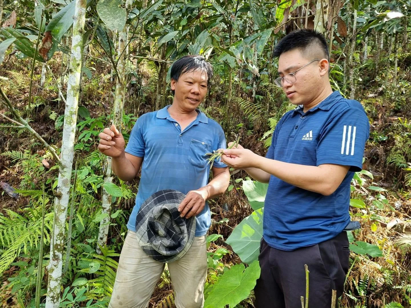 Cơ quan chuyên môn tăng cường phối hợp với địa phương kiểm tra thực địa và tuyên truyền, khuyến cáo người dân cách phòng trừ bọ, tránh để lây lan ra diện rộng.jpg