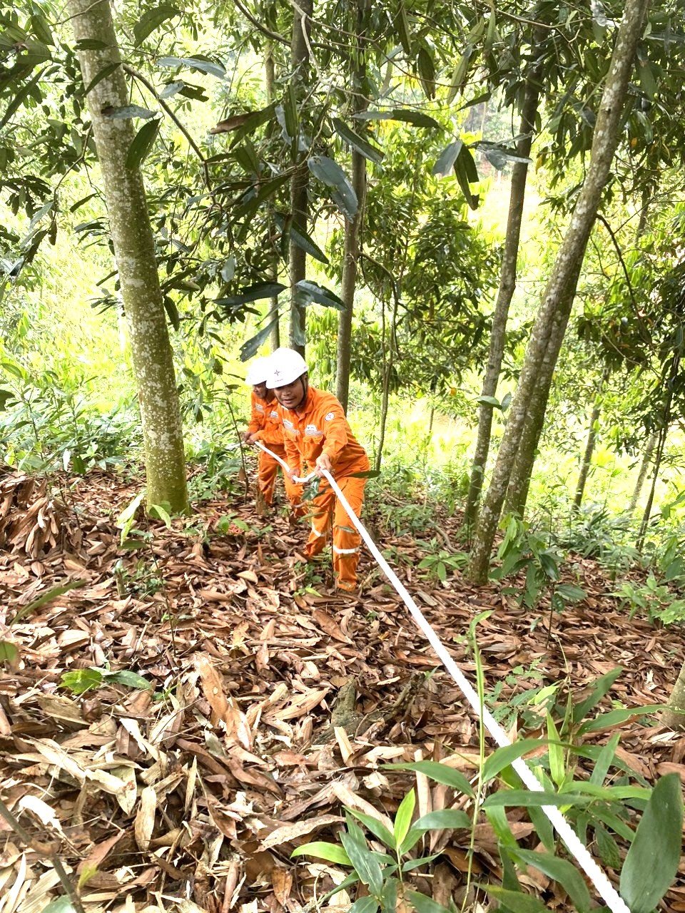Công nhân kéo dây cáp quang. z5516090902249_9d420e860b0440a3cff8c79916b85e0e.jpg