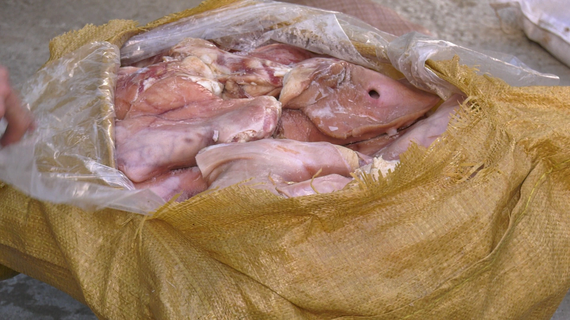 Ảnh 5. tai Lợn .jpg